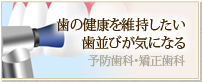 歯の健康を維持したい 予防歯科