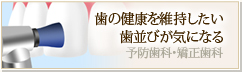 歯の健康を維持したい 予防歯科