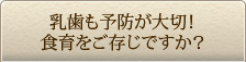 乳歯も予防が大切！食育をご存じですか？